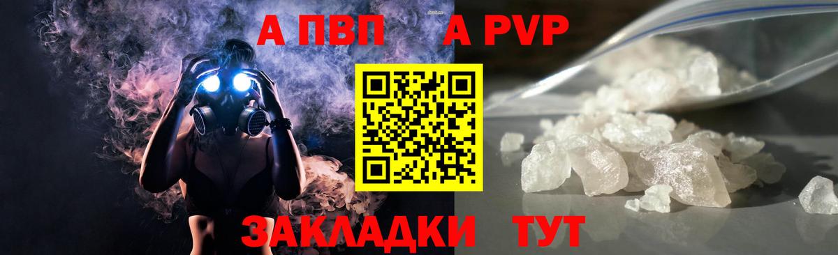 Великий Новгород  A PVP  Вход с VPN  A PVP СК КРИС  Alfa_PVP СК 