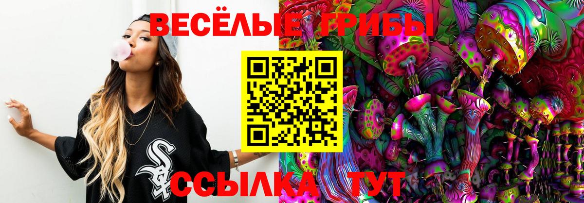 Галлюциногенные грибы Psilocybe  Галлюциногенные грибы прущие грибы  Вход с VPN  Великий Новгород 